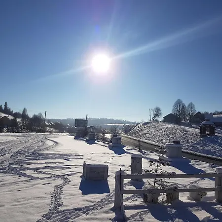 Dream Forest Tukhol'ka