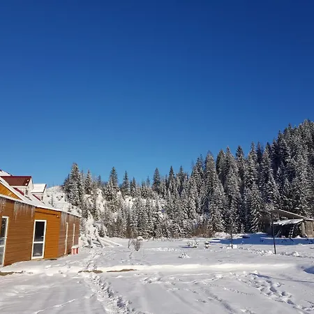 Lodge Dream Forest *