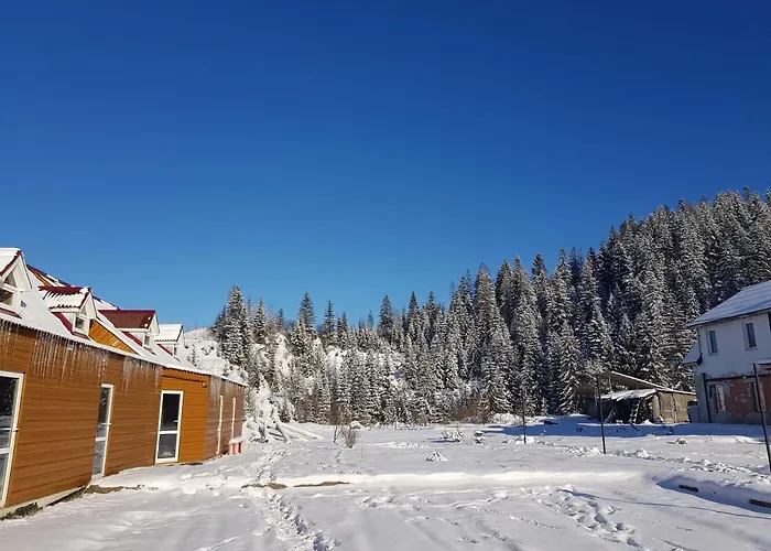 Jaktstuga Dream Forest *